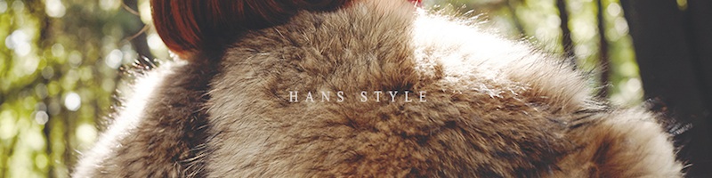 HANSSTYLETCg